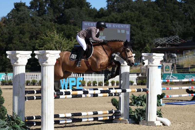 Rider jumping a bay horse over a fence between white pillars in a show ring