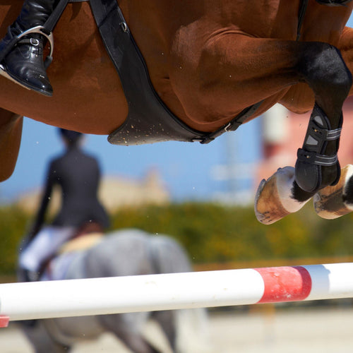 Show jumper clearing a rail, a reminder that hard-working performance horses need steady gut support