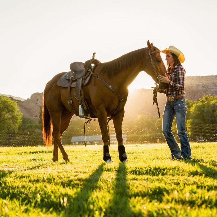 Rider standing with her saddled Quarter Horse in a sunlit pasture