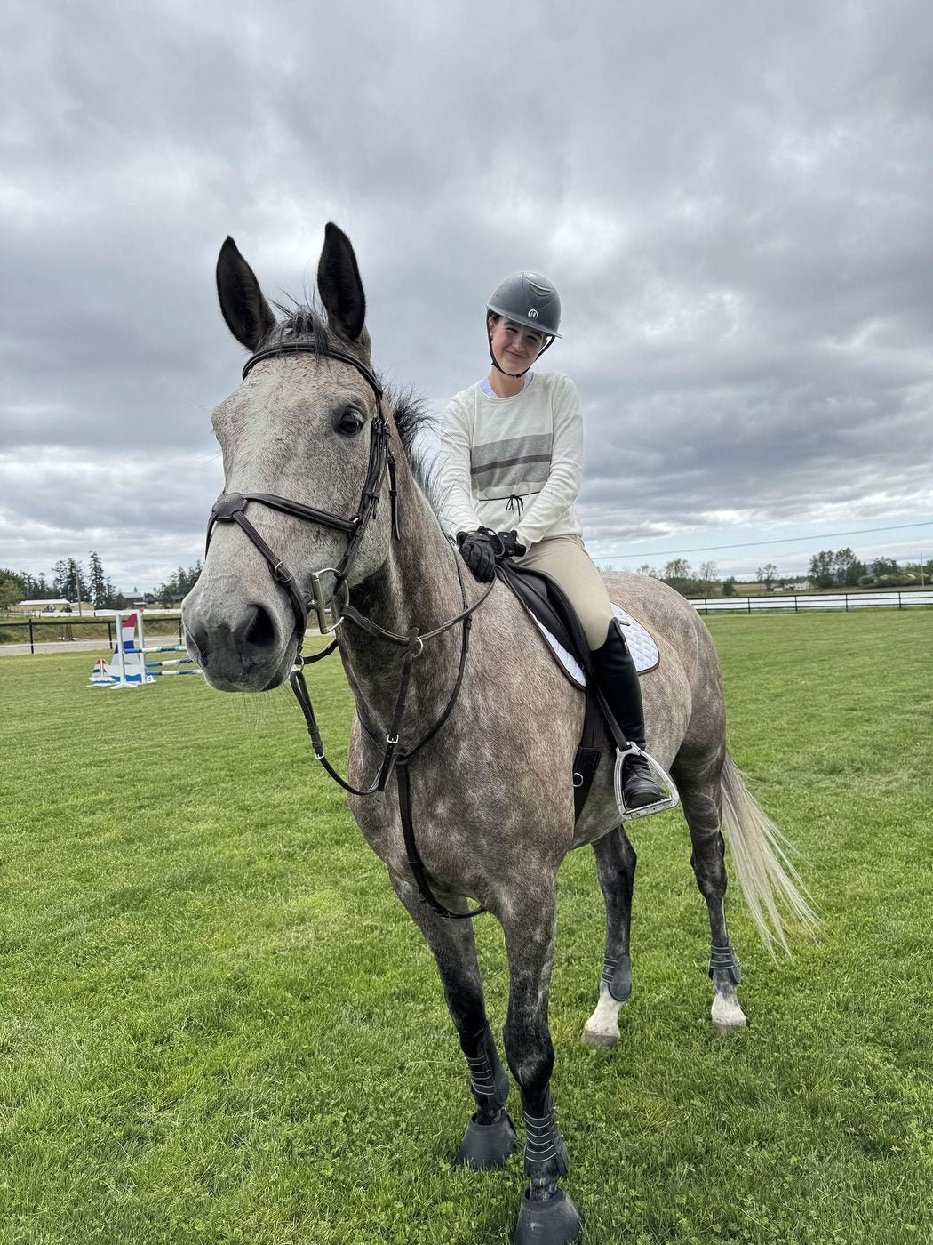 Warmbloods on Immubiome G-Tract — photo from Chris H.