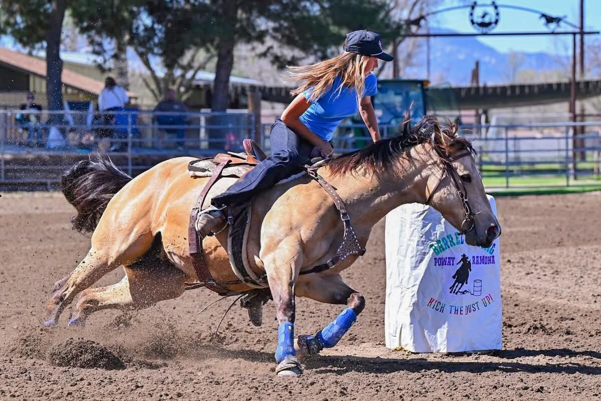 Horses with healthy coats — photo from Makena W.